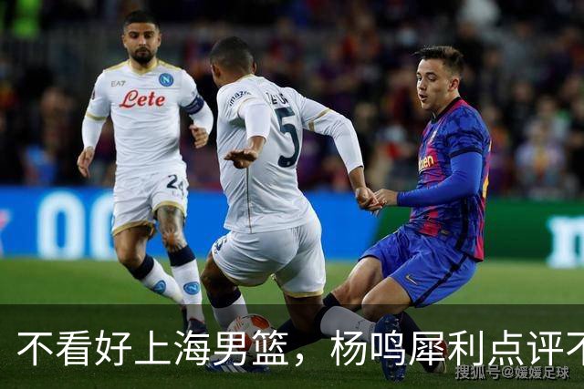 不看好上海男篮，杨鸣犀利点评不留情面，他们变化太大了
