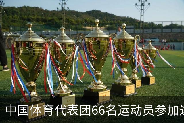 中国体育代表团66名运动员参加达喀尔青奥会
