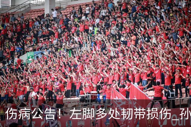 伤病公告！左脚多处韧带损伤 孙铭徽预计休战4-6周