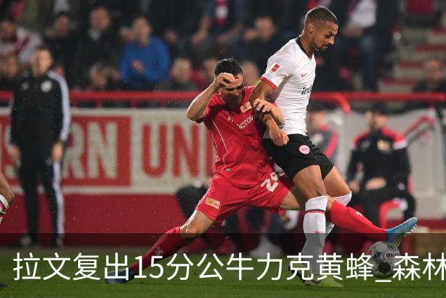 拉文复出15分公牛力克黄蜂 森林狼大胜火箭