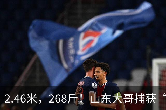 2.46米，268斤！山东大哥捕获“鲅鱼王”：常见鲅鱼仅几斤到十几斤，已被水产公司收购，将做成鲅鱼水饺