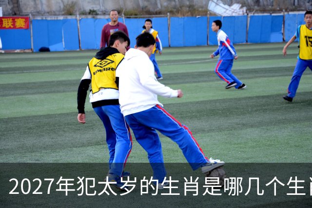 2027年犯太岁的生肖是哪几个生肖，2027年犯太岁最严重的属相