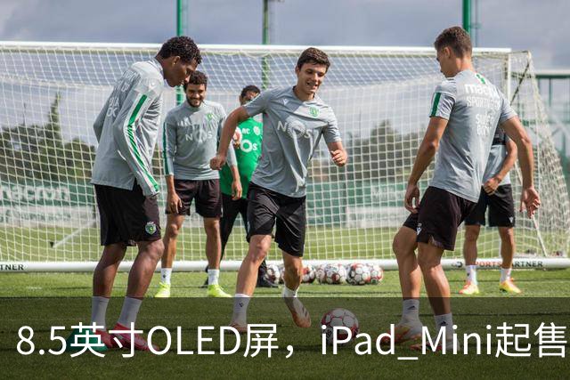 8.5英寸OLED屏，iPad Mini起售价涨到699美元